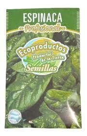 SEMILLA DE ESPINACA