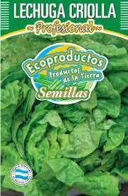 SEMILLA DE LECHUGA CRIOLLA