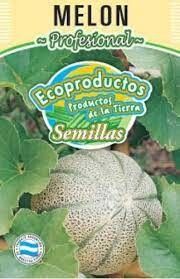 SEMILLA DE MELON