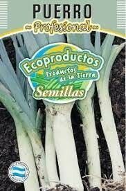 SEMILLA DE PUERRO