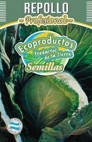 SEMILLA DE REPOLLO