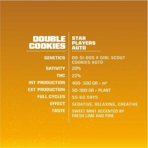 SEMILLA DOUBLE COOKIES AUTO SP X2u BSF SEEDS