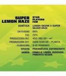 SEMILLA FEMINIZADA SUPER LEMON HAZE BSF SEEDS X2