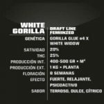SEMILLA FEMINIZADA WHITE GORILLA X2 BSF SEEDS