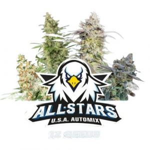 SEMILLA MIX AUTO ALL STARS  USA  X12 BSF SEEDS