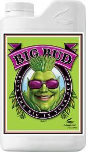 BIG BUD 500ML