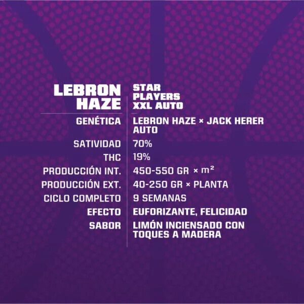 SEMILLA LEBRON HAZE XXL AUTO X 12 BSF SEEDS