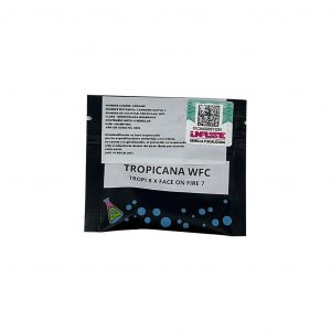 SEMILLA SWEED LAB TROPICANA WFC (TROPI8 X FACE ON FIRE 7) X4 u.