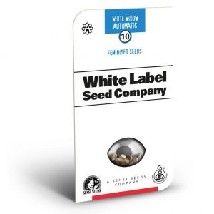 SEMILLA AUTOMÁTICA WHITE WIDOW WHITE LABEL SEEDS X3