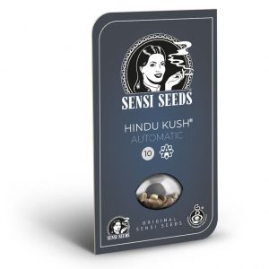 SEMILLA AUTOMÁTICA HINDU KUSH SENSI SEEDS X3