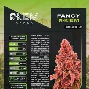 ESQUEJE FANCY GUMMY R-KIEM