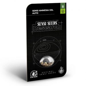 SEMILLA AUTOMATICA SENSI AMNESIA XXL SENSI SEEDS X3