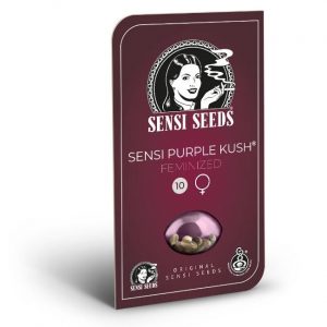 SEMILLA FEM SENSI PURPLE KUSH X3