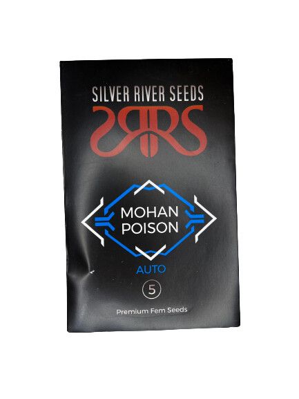 SEMILLA MOHAN POISON AUTO X5 SILVER RIVER SEEDS