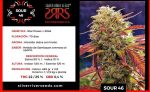 SEMILLA SOUR 46 FEM X5 SILVER RIVER SEEDS