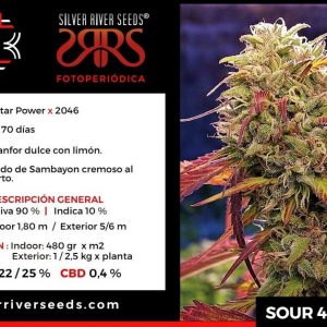 SEMILLA SOUR 46 FEM X5 SILVER RIVER SEEDS