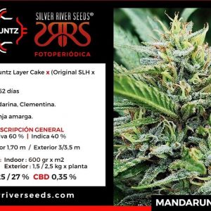 SEMILLA MANDARUNTZ FEM X5 SILVER RIVER SEEDS