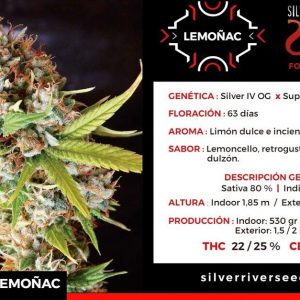 SEMILLA LEMOÑAC FEM X5 SILVER RIVER SEEDS