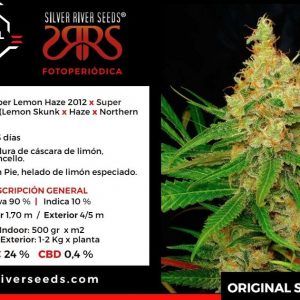 SEMILLA ORIGINAL SUPER LEMON HAZE FEM X5 SILVER RIVER SEEDS