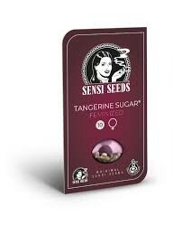 SEMILLA FEMINIZADA SENSI SEEDS TANGERINE SUGAR X3