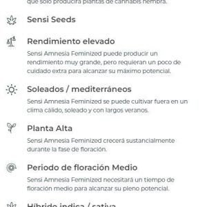 SEMILLA FEMINIZADA SENSI SEEDS SENSI AMNESIA X3