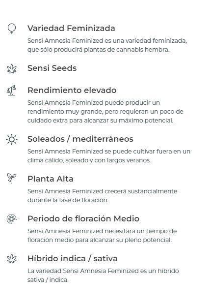 SEMILLA FEMINIZADA SENSI SEEDS SENSI AMNESIA X3