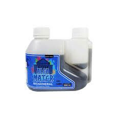 PANGEA ALGA MATER 300