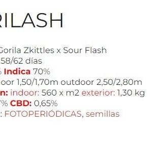 SEMILLA FEMINIZADA SILVER RIVER GORILASH X5 UNIDADES
