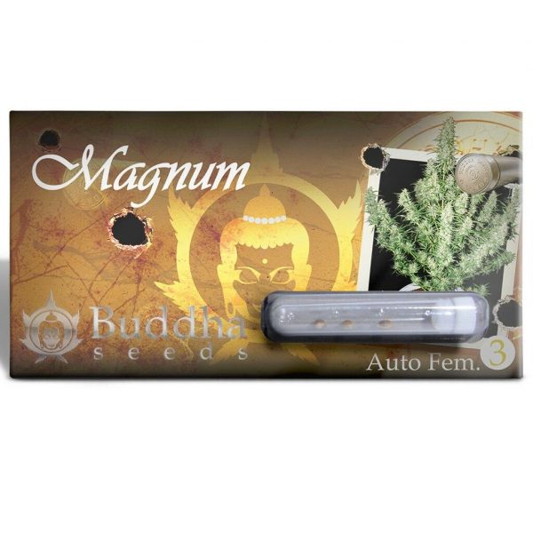 SEMILLA AUTOMATICA MAGNUM BUDDHA SEEDS X3