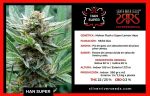 SEMILLA FEMINIZADA HAN SUPER SILVER RIVER SEEDS X5