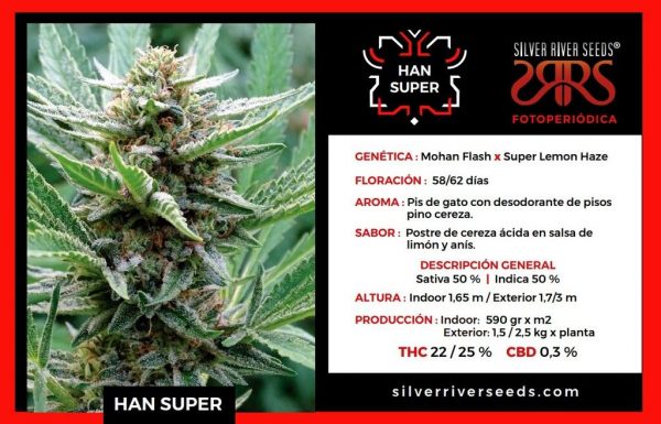 SEMILLA FEMINIZADA HAN SUPER SILVER RIVER SEEDS X5