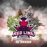 SEMILLAS RED LINE AUTOMIX X4 BSF SEEDS