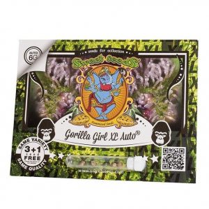 SEMILLA AUTOMATICA GORILLA GIRL XL X3 + 1 SWEET SEEDS