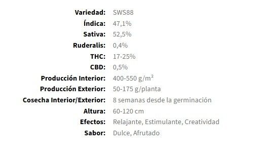 SEMILLA AUTOMATICA RUNTZ XL AUTO X3 + 1 SWEET SEEDS