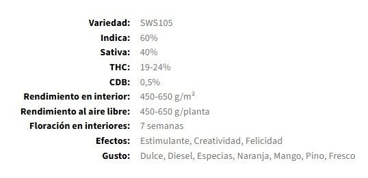 SEMILLA FEMINIZADA SWEET MANDARINE ZKITTLEZ FAST VERSION X3+1 SWEET SEEDS