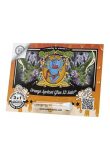 SEMILLA AUTOMATICA ORANGE APRICOT GLUE XL X3 + 1 SWEET SEEDS