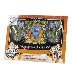 SEMILLA AUTOMATICA ORANGE APRICOT GLUE XL X3 + 1 SWEET SEEDS