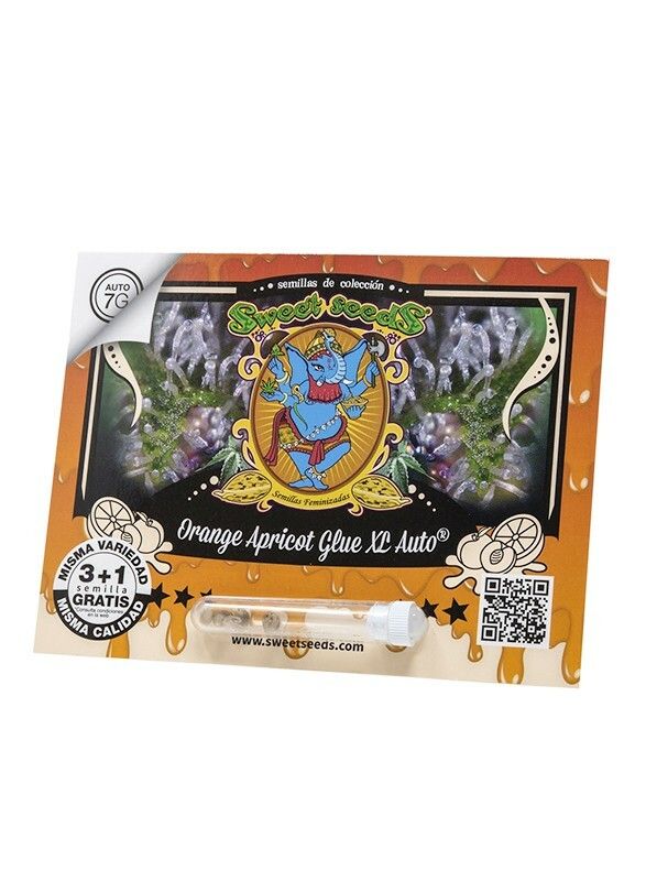 SEMILLA AUTOMATICA ORANGE APRICOT GLUE XL X3 + 1 SWEET SEEDS
