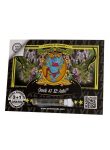 SEMILLA AUTOMATICA SWEET SEEDS JACK 47 XL AUTO X 3 + 1