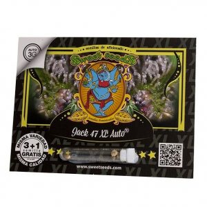 SEMILLA AUTOMATICA SWEET SEEDS JACK 47 XL AUTO X 3 + 1