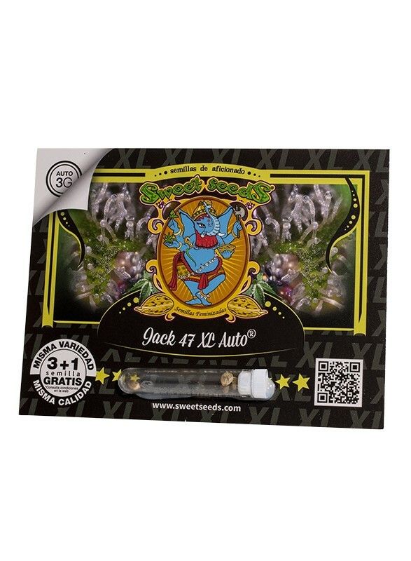 SEMILLA AUTOMATICA SWEET SEEDS JACK 47 XL AUTO X 3 + 1