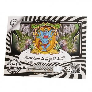 SEMILLA AUTOMATICA SWEET SEEDS SWEET AMNESIA HAZE XL X 3 + 1